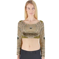 Golden Forest Silver Tree In Wood Mandala Long Sleeve Crop Top by pepitasart