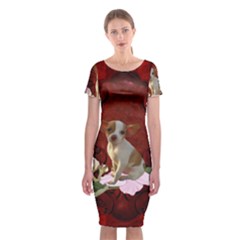 Sweet Little Chihuahua Classic Short Sleeve Midi Dress by FantasyWorld7