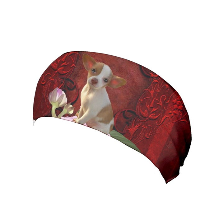 Sweet Little Chihuahua Yoga Headband