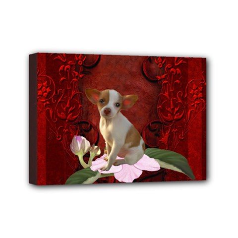 Sweet Little Chihuahua Mini Canvas 7  X 5  by FantasyWorld7