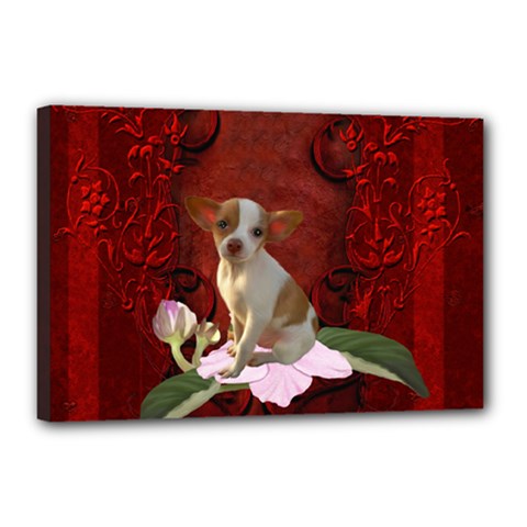 Sweet Little Chihuahua Canvas 18  X 12  by FantasyWorld7