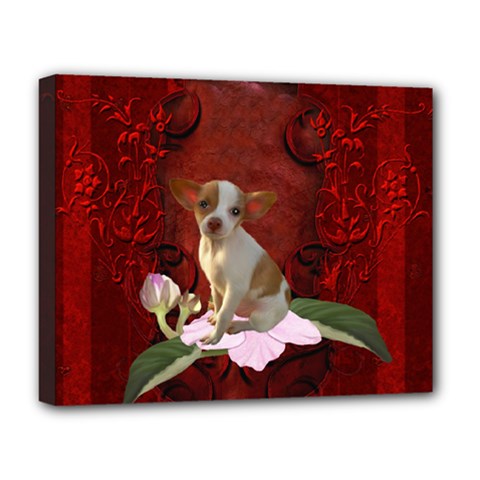 Sweet Little Chihuahua Deluxe Canvas 20  X 16   by FantasyWorld7