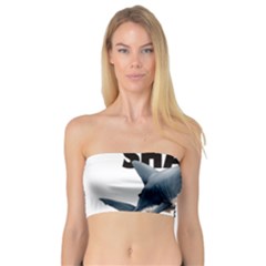 The Shark Movie Bandeau Top by Valentinaart