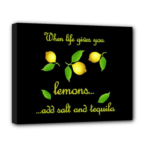 When Life Gives You Lemons Deluxe Canvas 20  X 16   by Valentinaart