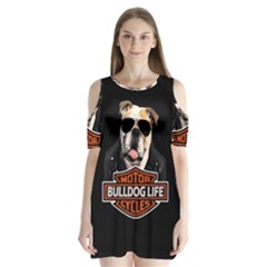 Bulldog biker Shoulder Cutout Velvet  One Piece