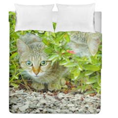 Hidden Domestic Cat With Alert Expression Duvet Cover Double Side (queen Size) by dflcprints