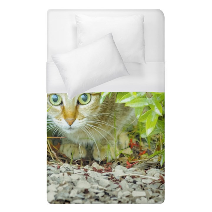 Hidden Domestic Cat With Alert Expression Duvet Cover (Single Size)