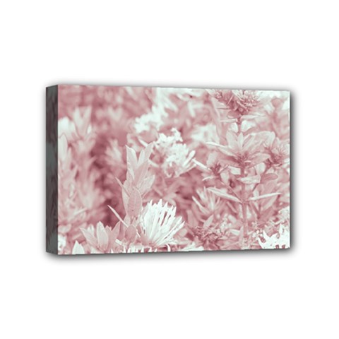 Pink Colored Flowers Mini Canvas 6  X 4  by dflcprints