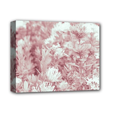 Pink Colored Flowers Deluxe Canvas 14  X 11  by dflcprints