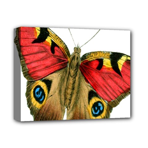 Butterfly Bright Vintage Drawing Deluxe Canvas 14  X 11  by Nexatart