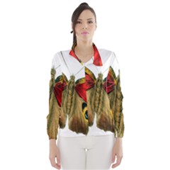 Butterfly Bright Vintage Drawing Wind Breaker (women) by Nexatart