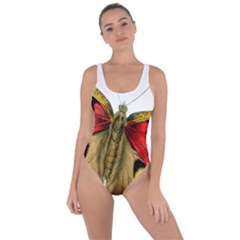 Butterfly Bright Vintage Drawing Bring Sexy Back Swimsuit