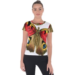 Butterfly Bright Vintage Drawing Short Sleeve Sports Top  by Nexatart