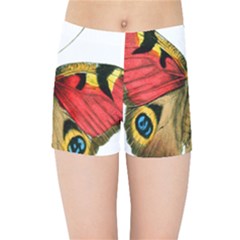 Butterfly Bright Vintage Drawing Kids Sports Shorts