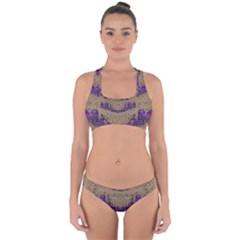 Pearl Lace And Smiles In Peacock Style Cross Back Hipster Bikini Set