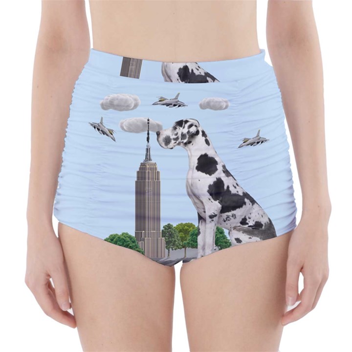 Great Dane High-Waisted Bikini Bottoms