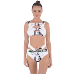 Great Dane Bandaged Up Bikini Set  by Valentinaart