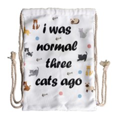 I Was Normal Three Cats Ago Drawstring Bag (large) by Valentinaart