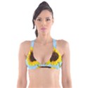 Sunflower Plunge Bikini Top View1