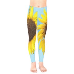 Sunflower Kids  Legging