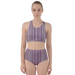 Lines Bikini Swimsuit Spa Swimsuit 