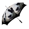 Panda face Straight Umbrellas View2