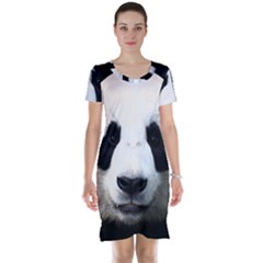 Panda Face Short Sleeve Nightdress by Valentinaart