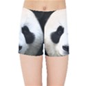 Panda face Kids Sports Shorts View1