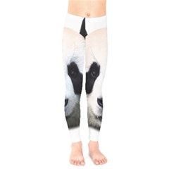 Panda Face Kids  Legging