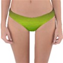 Ombre Reversible Hipster Bikini Bottoms View1