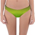 Ombre Reversible Hipster Bikini Bottoms View3