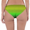 Ombre Reversible Hipster Bikini Bottoms View4