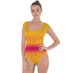 Ombre Short Sleeve Leotard 