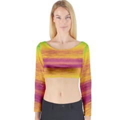 Ombre Long Sleeve Crop Top