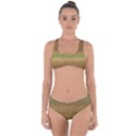 Ombre Criss Cross Bikini Set View1