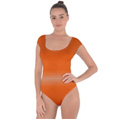 Ombre Short Sleeve Leotard 