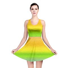 Ombre Reversible Skater Dress by ValentinaDesign