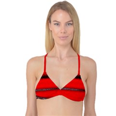 Ombre Reversible Tri Bikini Top