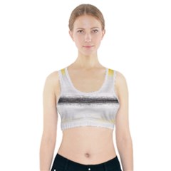 Ombre Sports Bra With Pocket