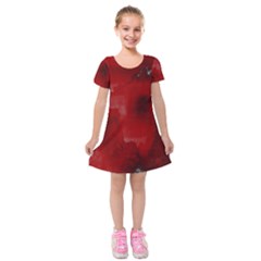 Ombre Kids  Short Sleeve Velvet Dress by ValentinaDesign