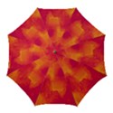 Ombre Golf Umbrellas View1