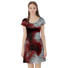 Ombre Short Sleeve Skater Dress by ValentinaDesign