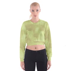 Ombre Cropped Sweatshirt