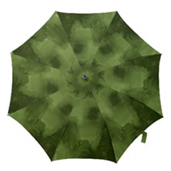 Ombre Hook Handle Umbrellas (small)