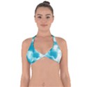 Ombre Halter Neck Bikini Top View1