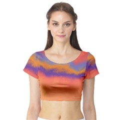 Ombre Short Sleeve Crop Top (tight Fit) by ValentinaDesign