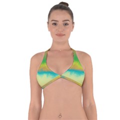 Ombre Halter Neck Bikini Top