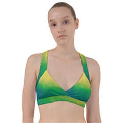 Ombre Sweetheart Sports Bra