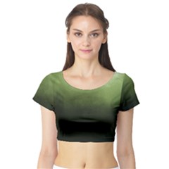 Ombre Short Sleeve Crop Top (tight Fit) by ValentinaDesign