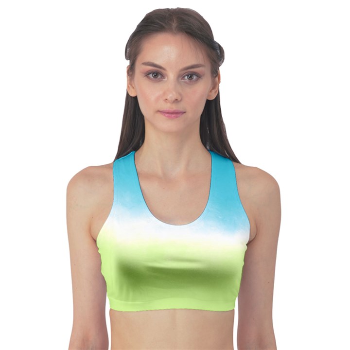 Ombre Sports Bra